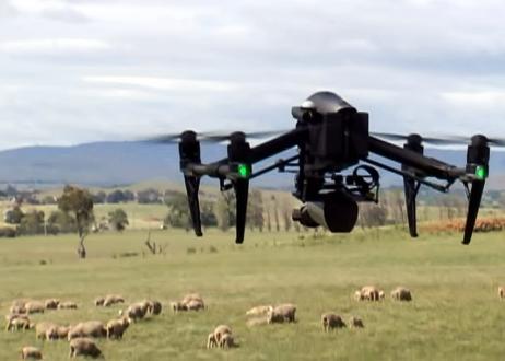 Drónok menthetik meg a beteg bárányokat (VIDEÓ)